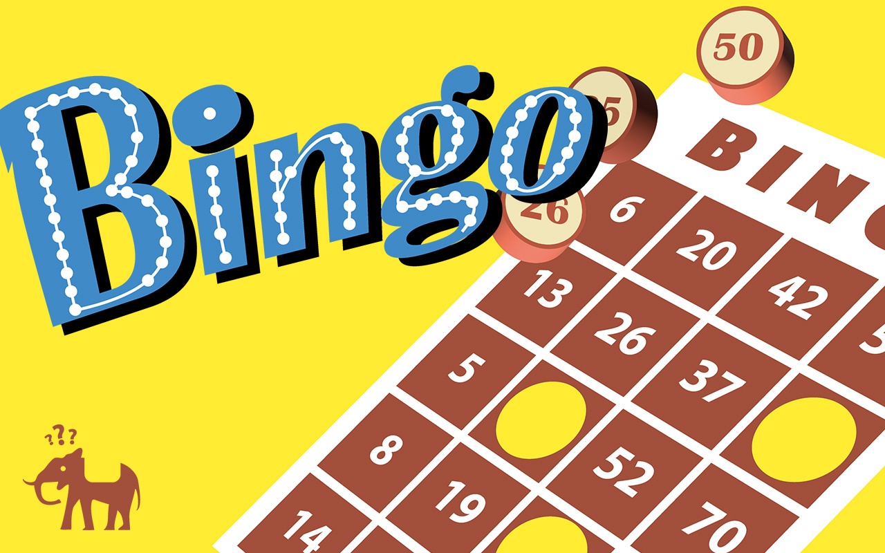 What is Bingo Casino?